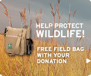 FREE field bag with your donation